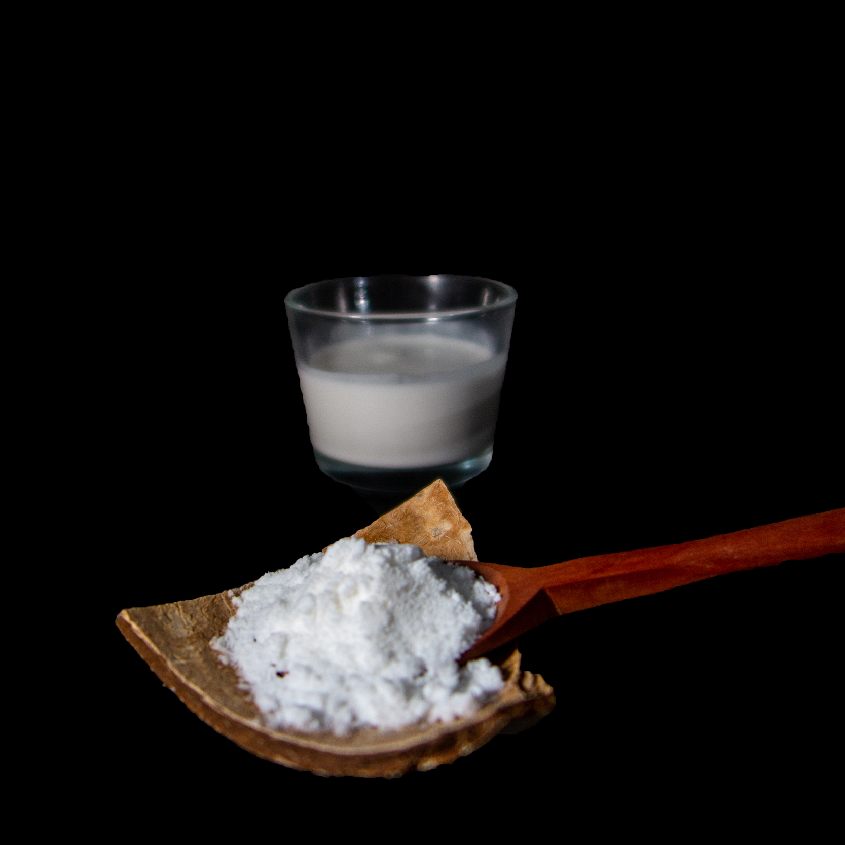 coconut cream powder